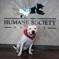 Humane Society Naples